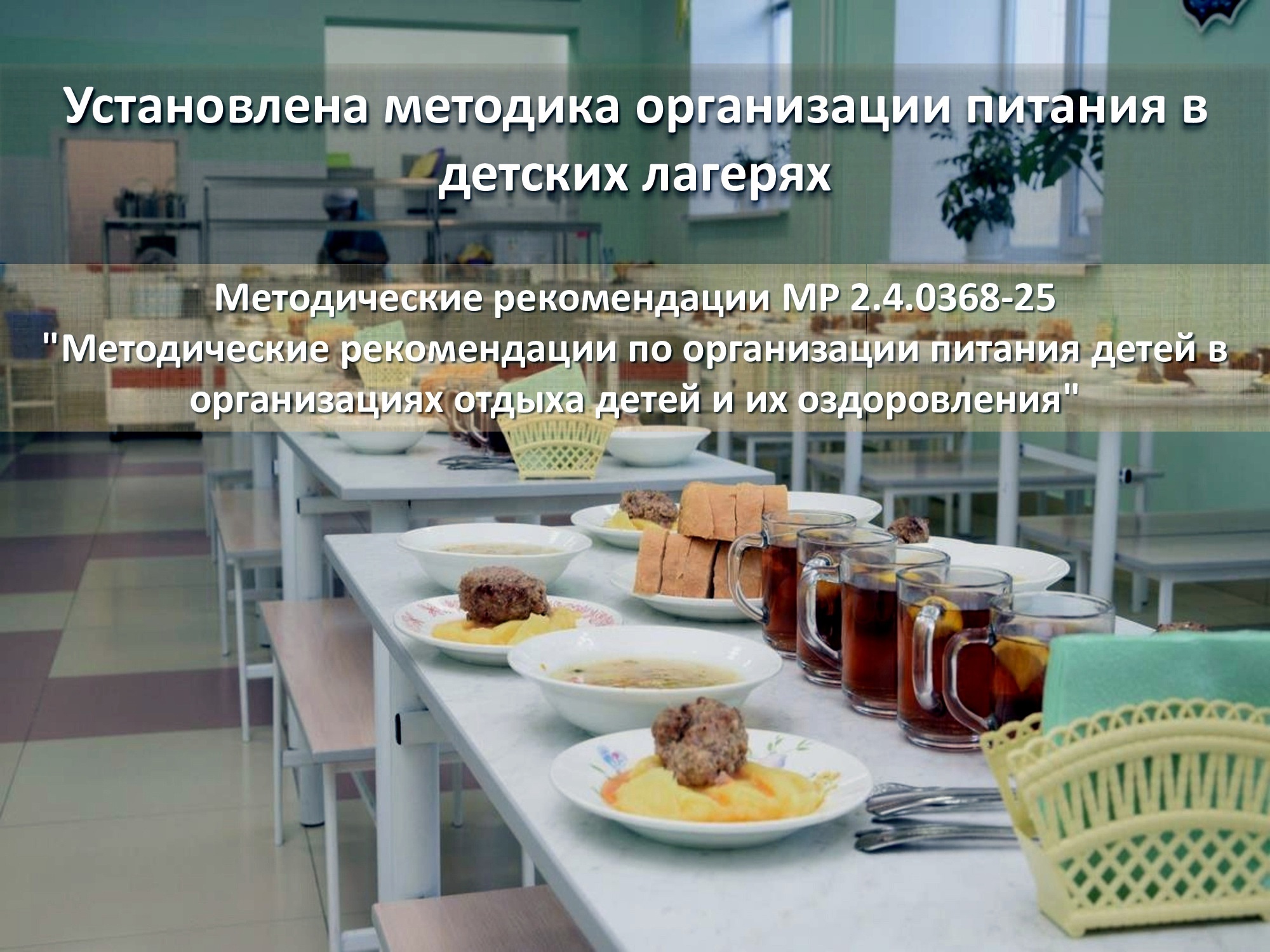 Методические рекомендации по организации питания детей в организациях отдыха детей и их оздоровления