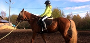Курс иппотерапией в клубе «Альтернати-ва+»  завершен