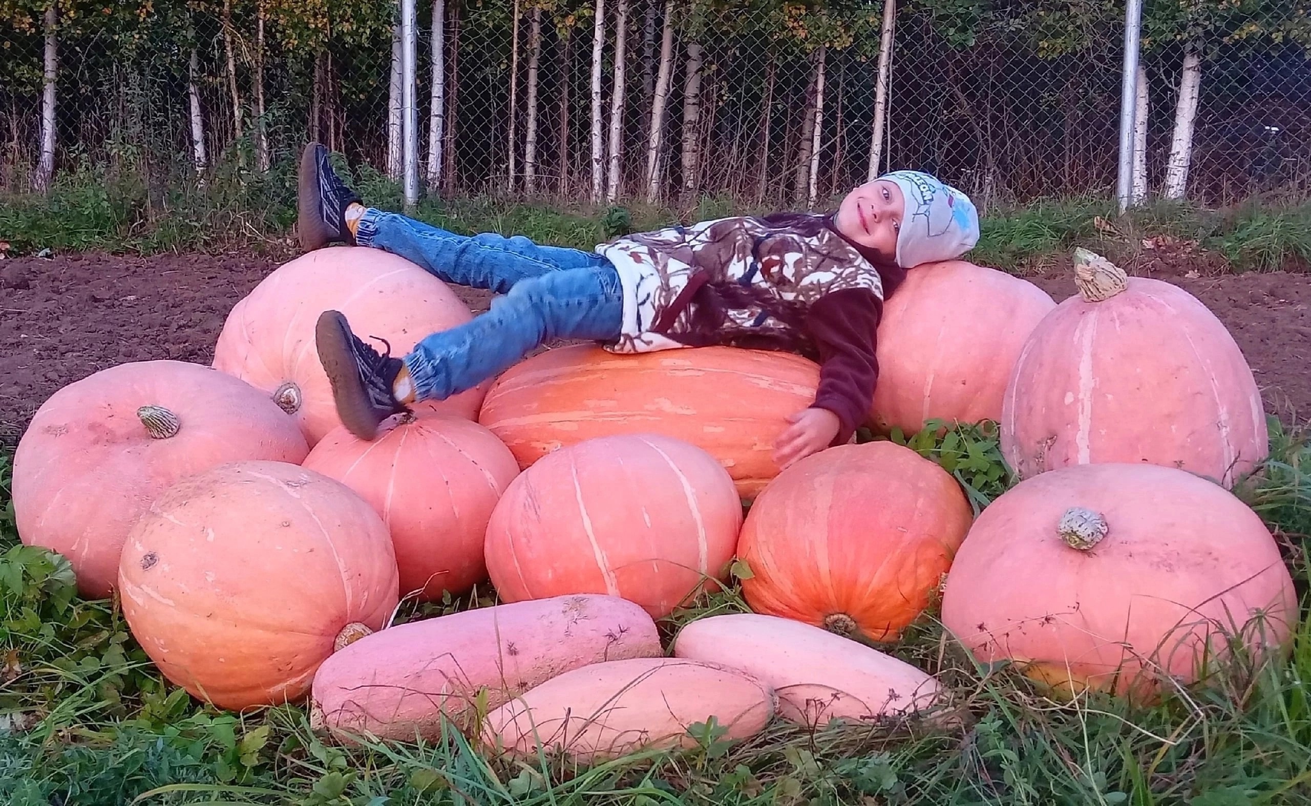 Неделя популяризации потребления овощей и фруктов