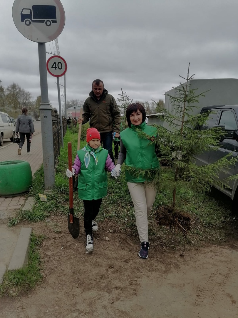 ЕЛОЧКИ ДЛЯ УСТЮЖАН