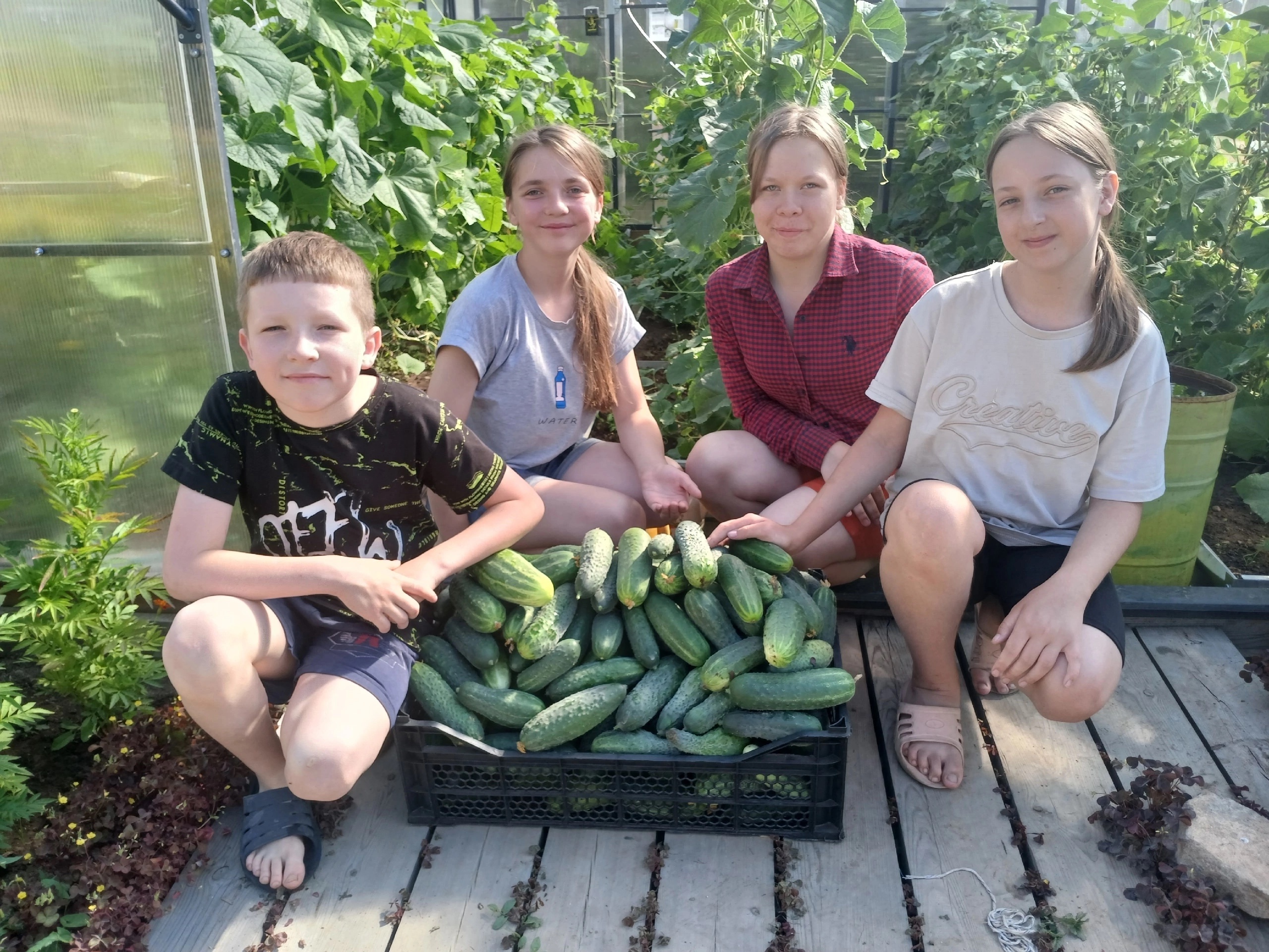 Дачное хозяйство центра — щедрый урожай и море радости!