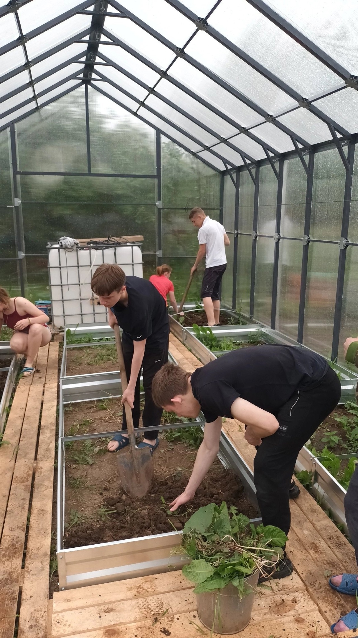 Наша любимая дача